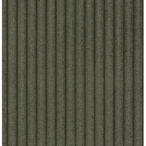 Elegantes Zweisitzer-Sofa LOCCO mit bequemer Sitzfläche aus kordgrünem Stoff 7/9