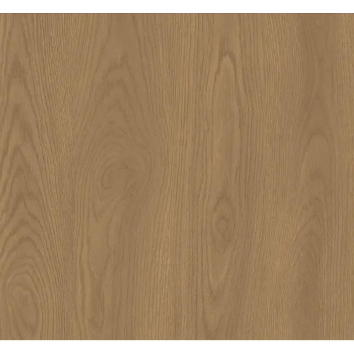 SUNA Lowboard Japandi Design TV Board Eiche Caramel grifflos 147 cm breit